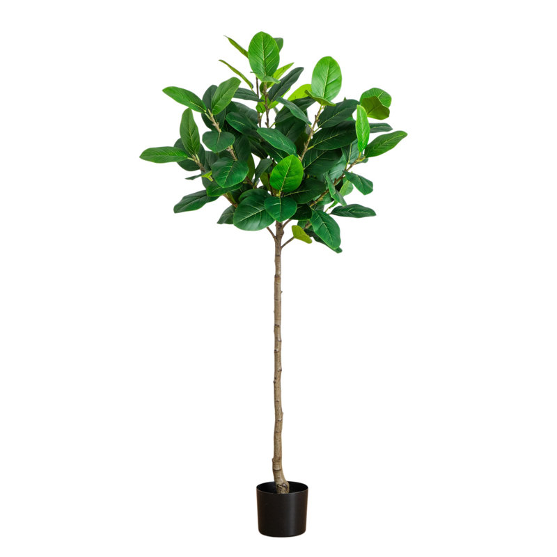 5Ft. Artificial Petite Audrey Ficus Tree