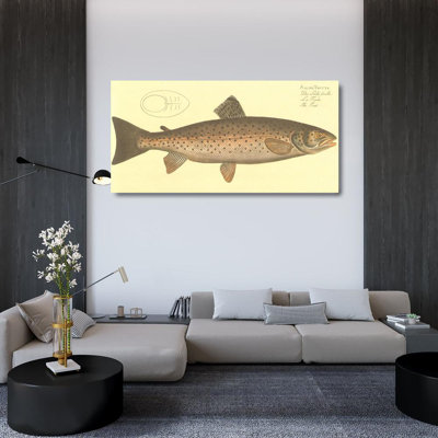 Trout