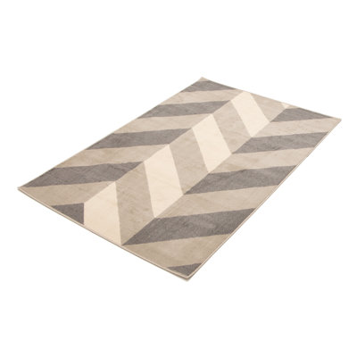 Damarie Gray Rug