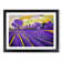 Abstract Lavender Field - Single Picture Frame Print