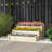 Arlmont & Co. 3-Tier Wooden Raised Garden Bed With Open-Ended Base Growing Planter For Backyard