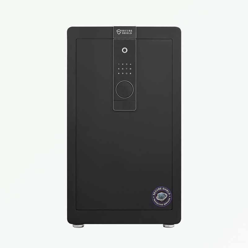Safe Box with Biometric Recognition and Electronic Password Lock
