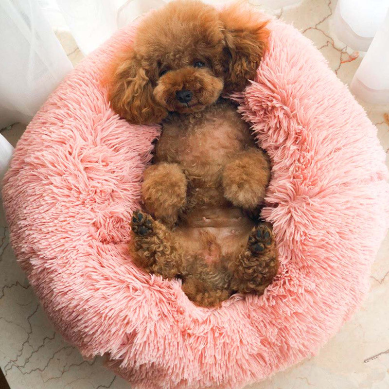 Almaguer Calming Round Donut Plush Dog Cuddler Bed, Large (70cm W x 70cm D), Pink