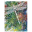 " Dragonfly 1 " by Michelle Faber-33527404