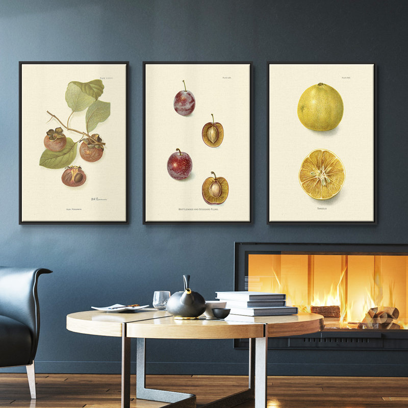 Persimmon II - ensemble de 3 reproductions sur toile, H 27 po x l 54 po, Noir