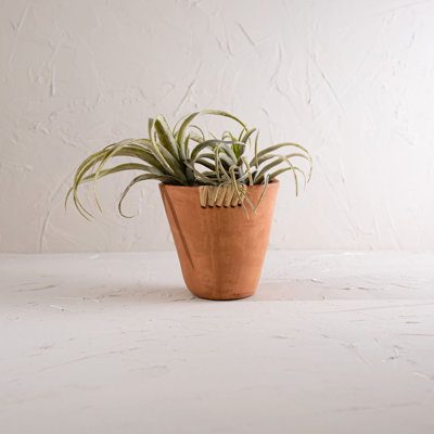 Handmade Pot Planter
