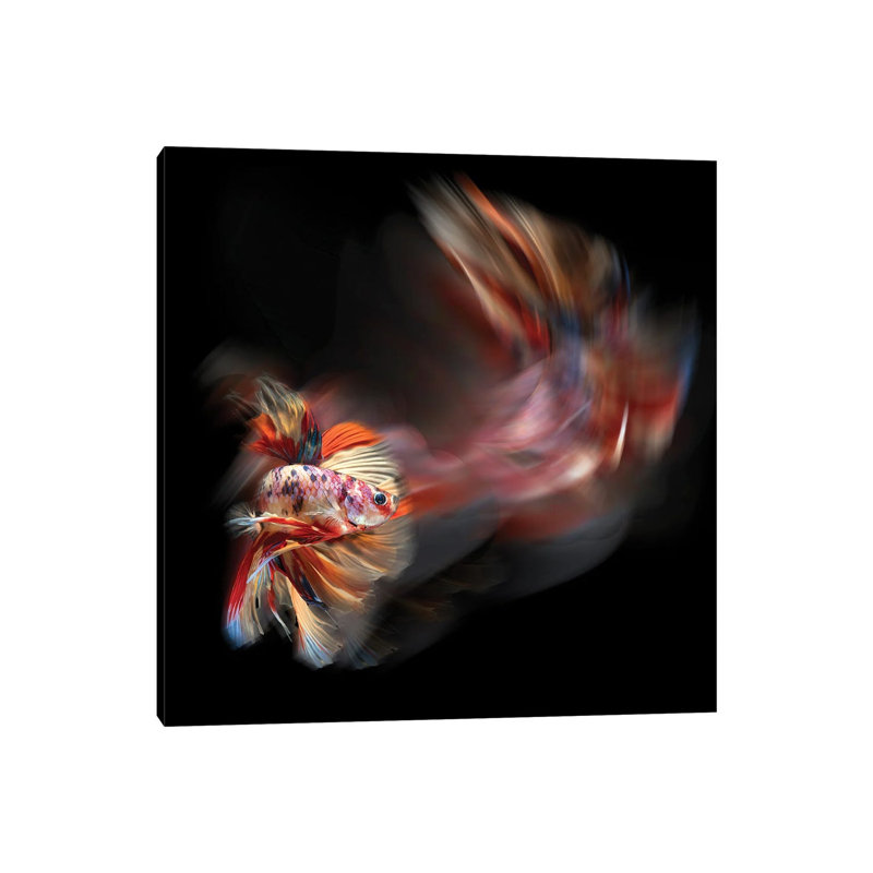 Bettafish Path 1 Piece Wrapped Canvas Painting, 93.98 cm H x 93.98 cm W x 1.91 cm D