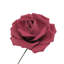 Grande tige rose en mousse-132110125-132110119