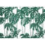 Feuille verte Monstera-100664602