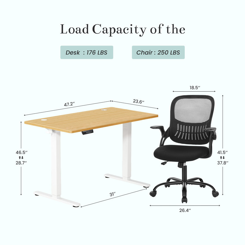 Office Set: Electric Standing Desk And Mesh Office Chair, Oak