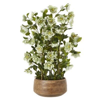 Arrangement in Pot
