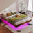Cowen Floating Bed Frame with LED Lights Metal Slats Underbed Storage Space No Box Spring-133985342-76432951