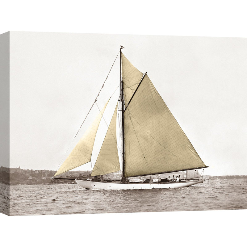 Yacht On Sydney Harbour by Anonymous - Wrapped Canvas Print, 70cm H x 100cm W x 4cm D