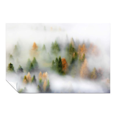 Misty Forest In Autumn - No Frame Print
