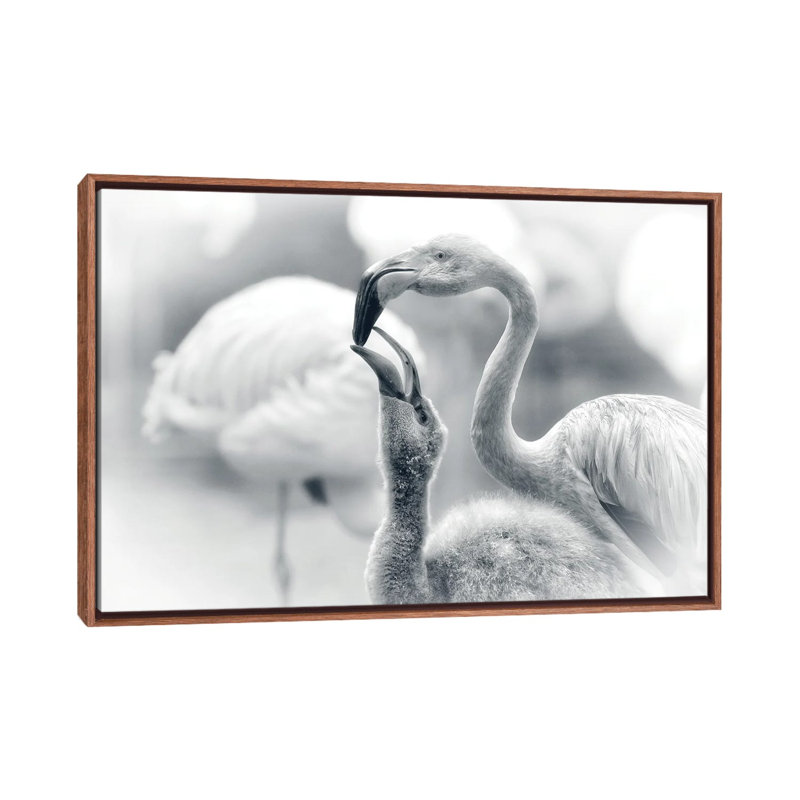 Feeding by Antje Wenner-Braun - Print on Canvas, Brown Floater Frame, 66.04 cm H x 45.72 cm W