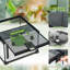 Small Animal Cage