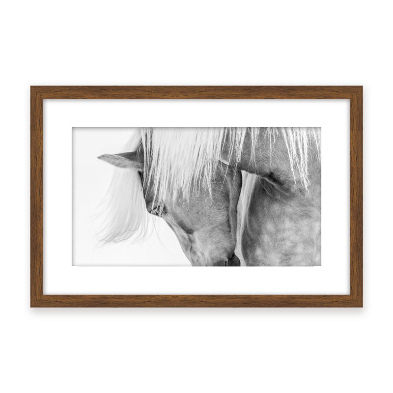 Nature Inspired Halflinger Portrait by  - Picture Frame Photograph on Paper, 24" H x 36" W x 1.125" D, Black