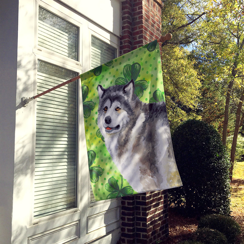 40 x 28 po en polyester à 2 côtés de la st patrick drapeau maison, Malamute d’Alaska gris
