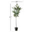 41'' Faux Eucalyptus Tree in Pot