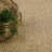 Waverly Indoor Rug-22589048