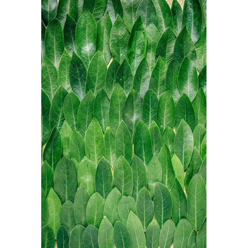 Gamme de feuilles vertes, plantes, arbres, H 48 po x l 24 po x P 1,5 po