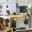 Hyndman 1 - Light Black Single Pendant