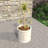 Tarneshia Round Handmade Fiberstone Planter – MGO Clay Plant Pot with Drainage Holes for Indoor & Outdoor Use-1751541032-1751541046