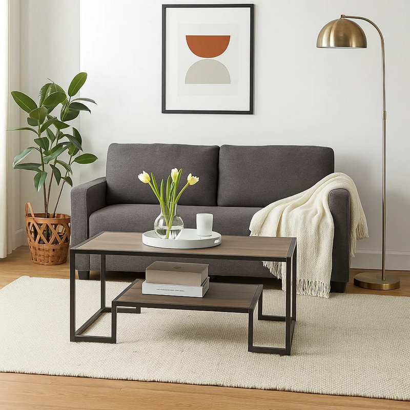 Table basse avec rangement Frame