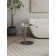 Jhaniya Modern End Table in Black