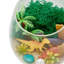Dinosaur Toys DIY Terrarium Kit Ornament with Moon Lamp for Kids