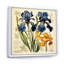 Illustration rétro - iris bleus-2047064803-2047064800