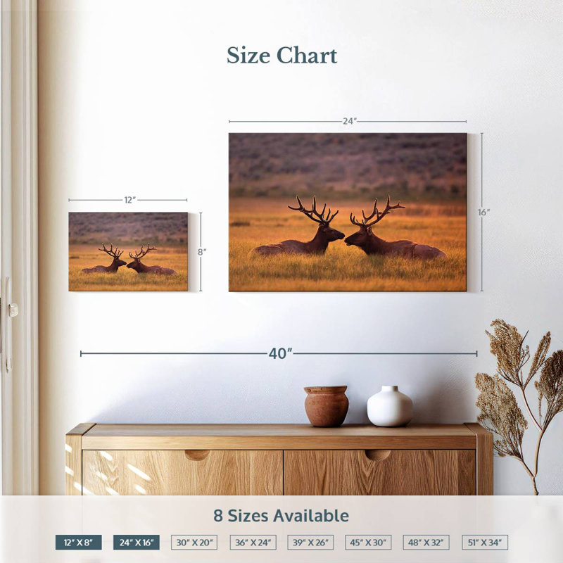 Bramd Stag Buddies, H 16 po x l 24 po