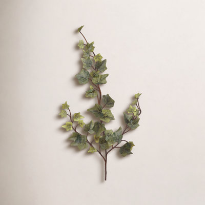 English Ivy Floral Stems