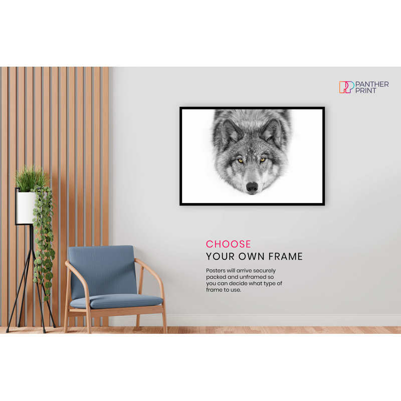 Grey Wolf Yellow Eyes - No Frame Print, 91cm H x 61cm W x 1cm D