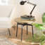 Acampora End Table