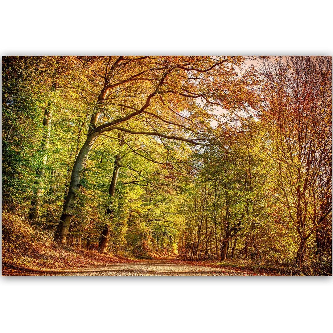 Leinwandbild Straße im Herbstwald