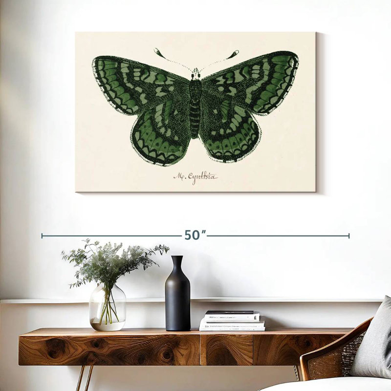 Brampt Antique Butterfly I, 26" H x 39" W