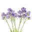 Plastic, Silk Artificial Arrangement