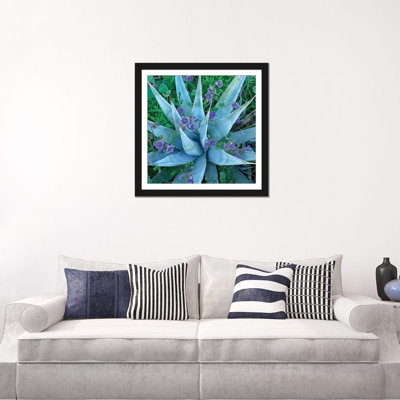«Bluebell and Agave, North America II», reproduction de photo sur toile