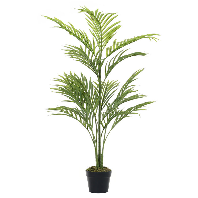 110cm Plant