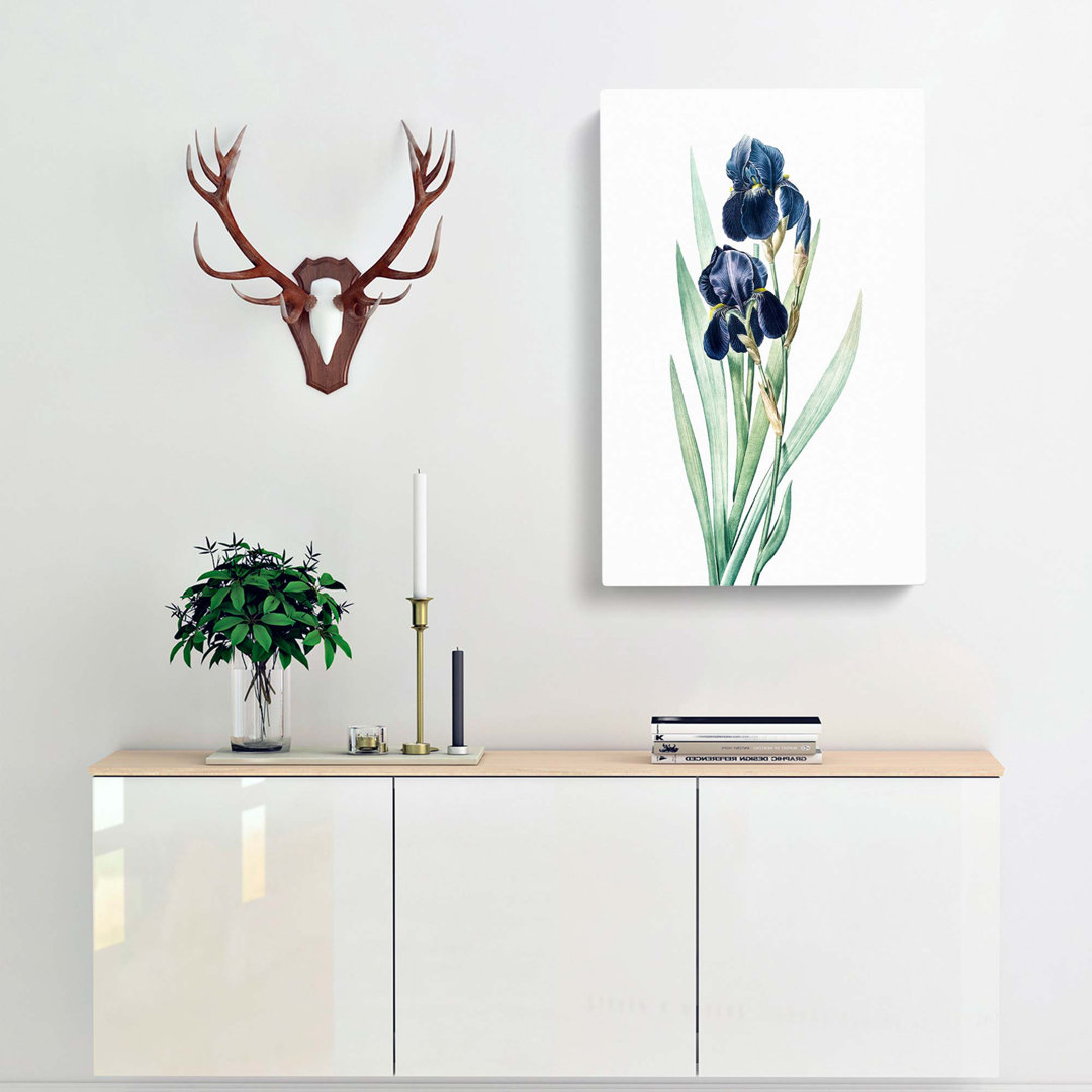 German Iris Flowers by Pierre-Joseph Redoute - Wrapped Canvas