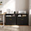 73cm Wide 2 -Drawer File Cabinet-2021688801