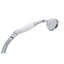 Inclined Handshower and Hose-885830779