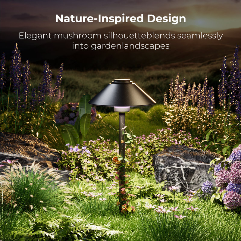 Matte Black Plug-in Integrated LED Pathway Light
