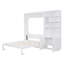 Lit escamotable double avec plusieurs tablettes de rangement et une armoire