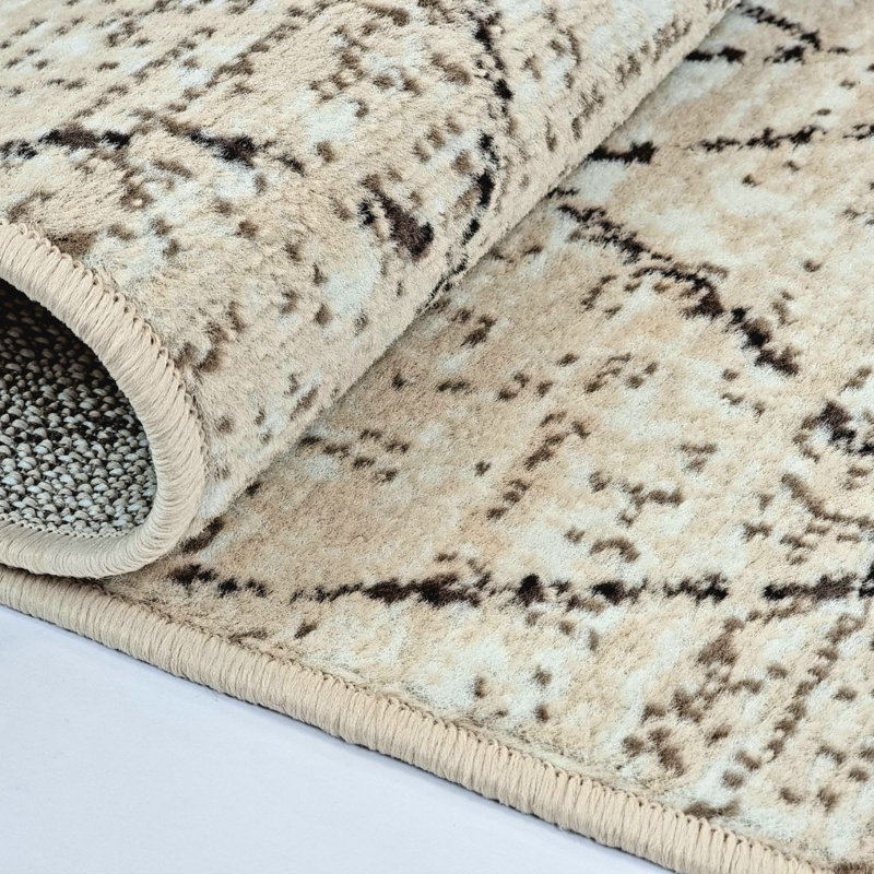 Buckhurst Southwestern Area Rug, Rectangle 120 x 170cm