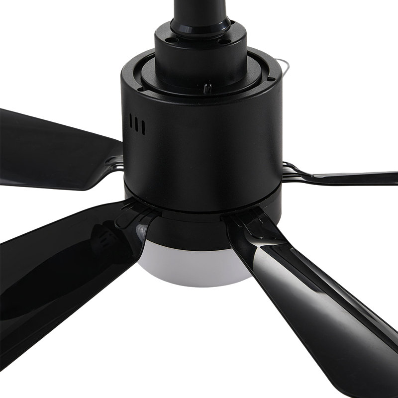 Ceiling Fan with LED Lights, Black