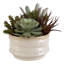 Plante grasse artificielle 9 po en pot