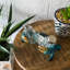 Ensemble de salière et poivrière en crabe bleu côtier avec verre, 6,25 pouces de large