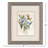 Blue Cosmos Framed Art